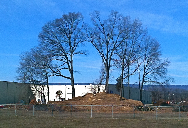 Chickamauga mound 13 february 2011